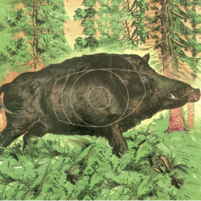 Medzinárodný terč Diviak redukovaný 10ks