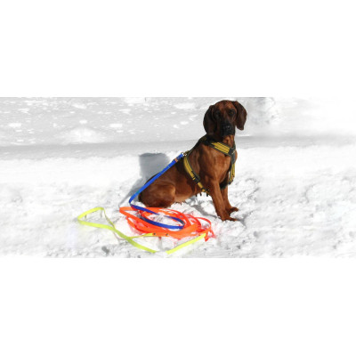 Vodítko pre psovodov "TRACK"