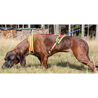 Postroj pre psa na dohladávku "TRAIL"