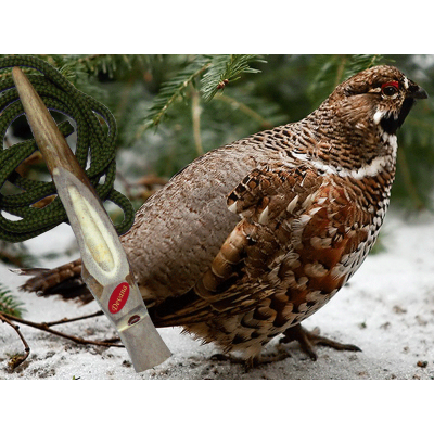 Vábnička na jariabka z parohu