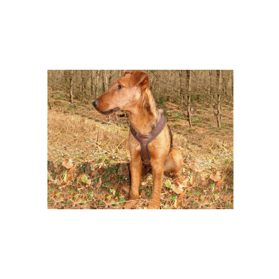 Postroj pre psa Niggeloh Follow Light