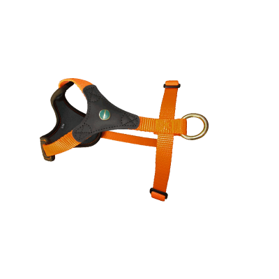 Postroj pre psa Niggeloh Follow START