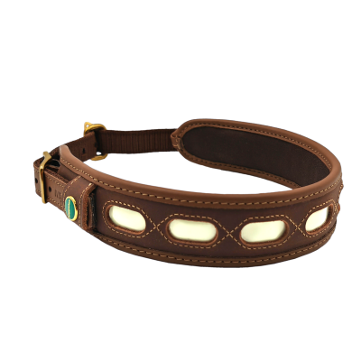 Svietiaci samonabíjací obojok pre psa