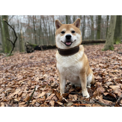 Obojok Niggeloh Fashion kožený