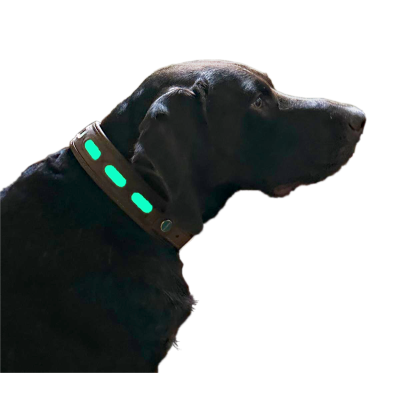 Svietiaci samonabíjací obojok kožený