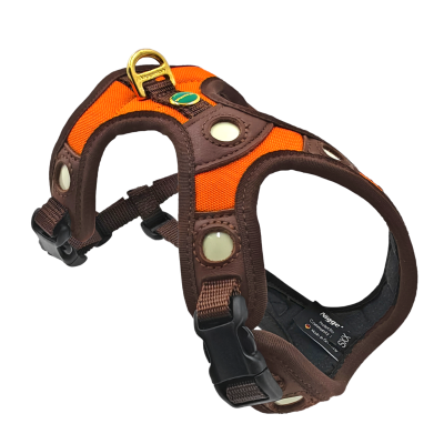 Svietiaci samonabíjací postroj Niggeloh oranžový