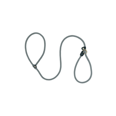 Retriever Leash “BLITZ“